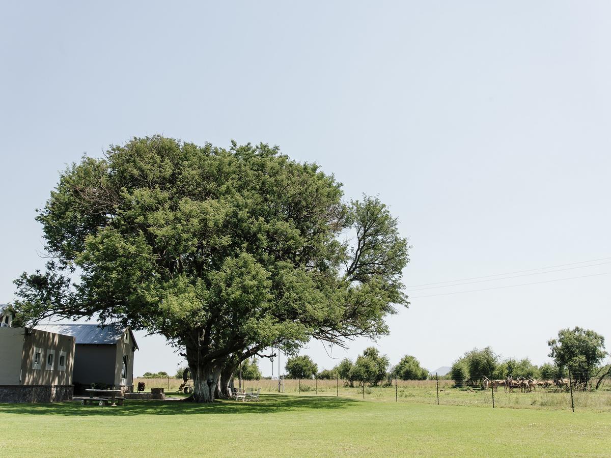 Buffalo Thorn Tree Lodge Swartruggens Екстериор снимка
